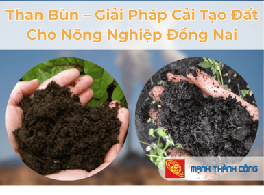 Than B&ugrave;n &ndash; Giải Ph&aacute;p Cải Tạo Đất Cho N&ocirc;ng Nghiệp Đồng Nai